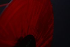 IMG_0084